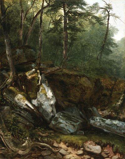 Study from Nature：Rocks and Trees in the Catskills、NY、1856 作： Asher Brown Durand